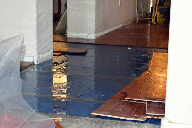 Professional Flood Damage Repair technician working in Machias, ME